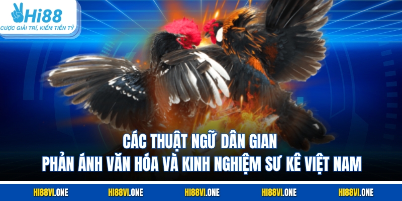 Các thuật ngữ dân gian phản ánh văn hóa và kinh nghiệm sư kê Việt Nam