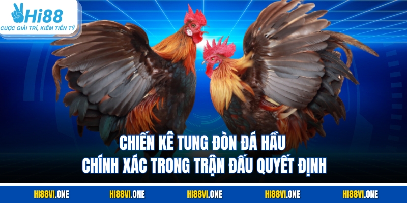 Chiến kê tung đòn đá hầu chính xác trong trận đấu quyết định