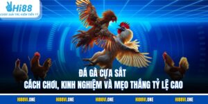 Đá Gà Cựa Sắt – Cách Chơi, Kinh Nghiệm Và Mẹo Thắng Tỷ Lệ Cao