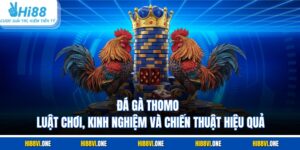 Đá Gà Thomo – Luật Chơi, Kinh Nghiệm Và Chiến Thuật Hiệu Quả