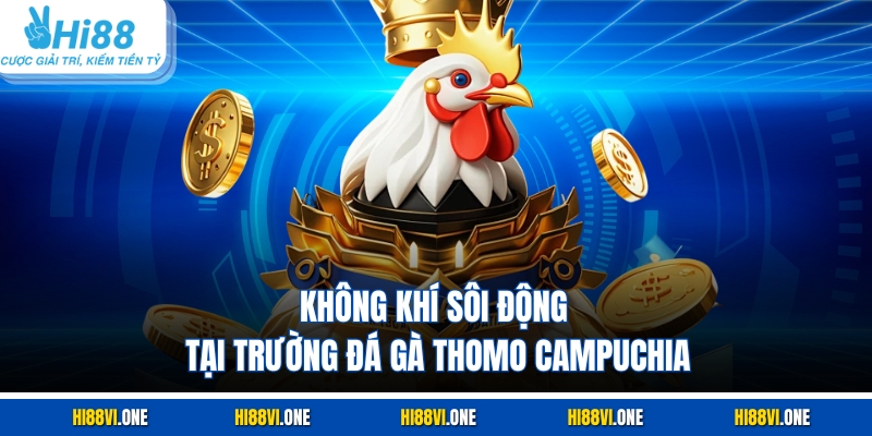 Không khí sôi động tại trường đá gà Thomo Campuchia