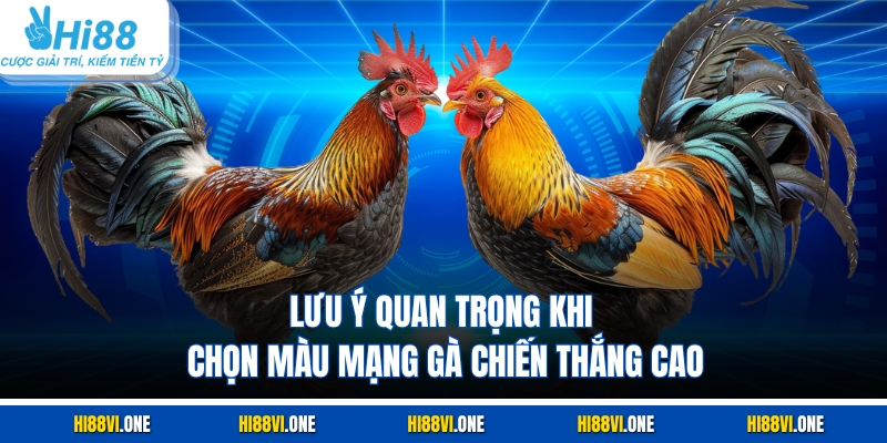 Lưu ý quan trọng khi chọn màu mạng gà chiến thắng cao