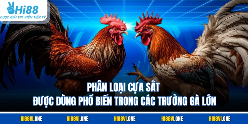 Phân loại cựa sắt được dùng phổ biến trong các trường gà lớn