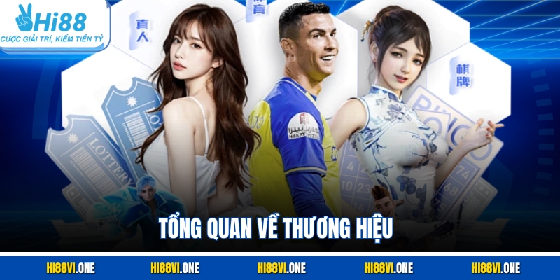 Tổng quan về thương hiệu 